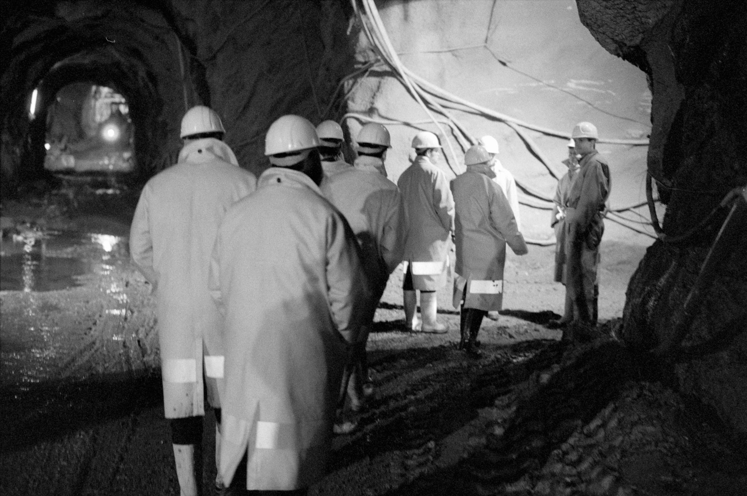 AHP F1994 11 007 sc250521 img17 NLP